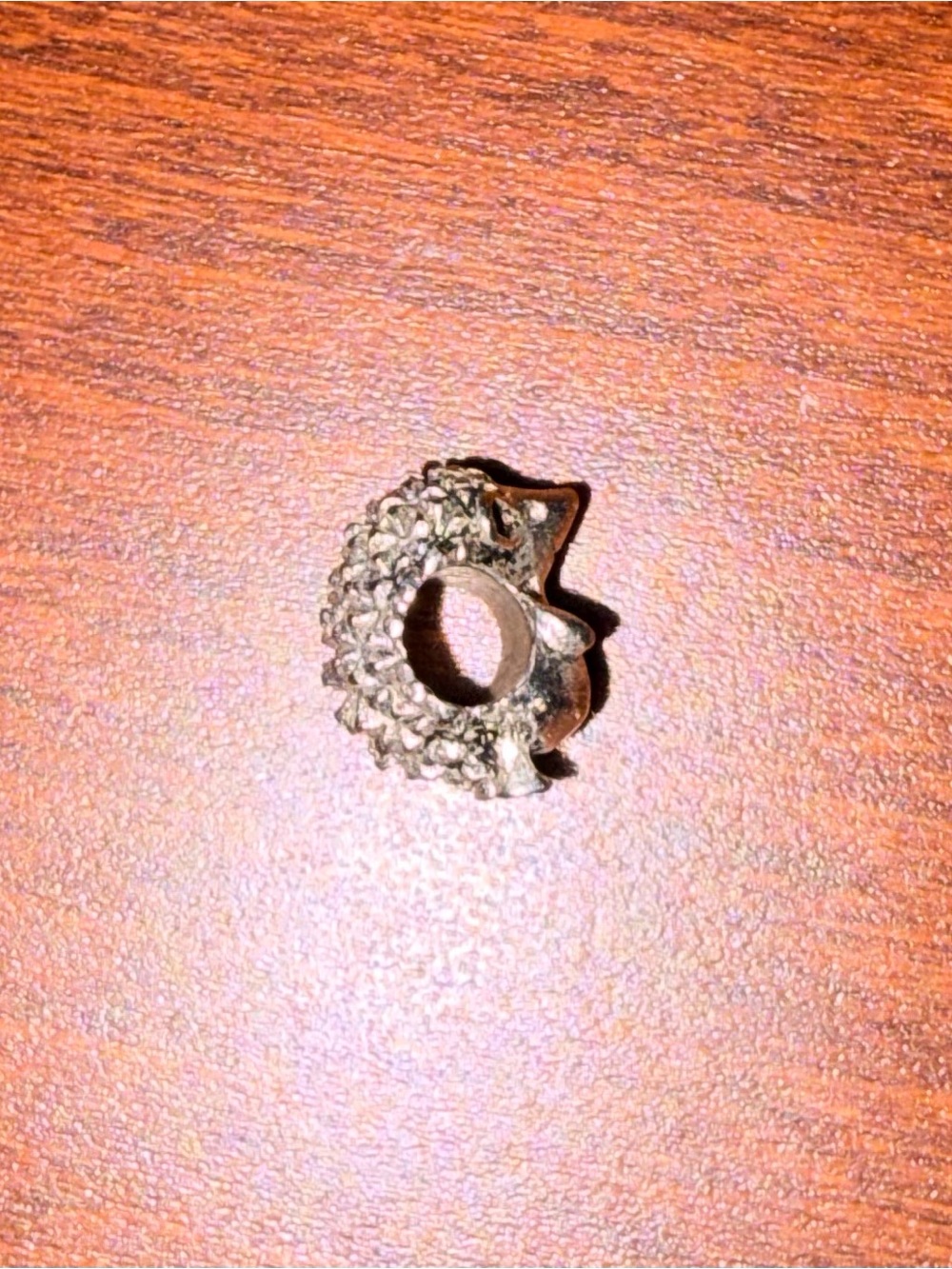 Hedgehog Silver-Tone Charm